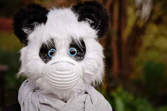 SpinShake Casino Ondersteuning